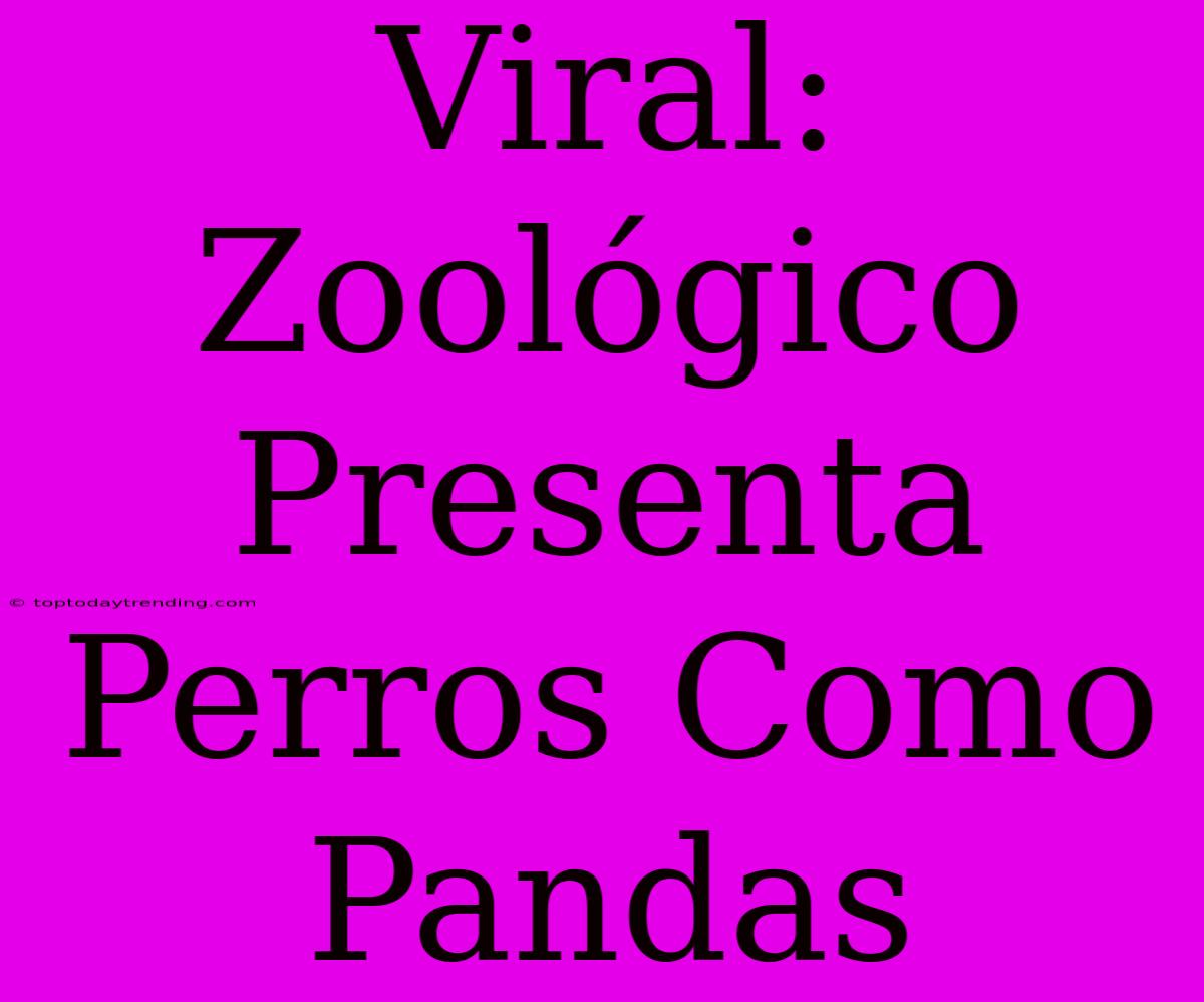 Viral: Zoológico Presenta Perros Como Pandas