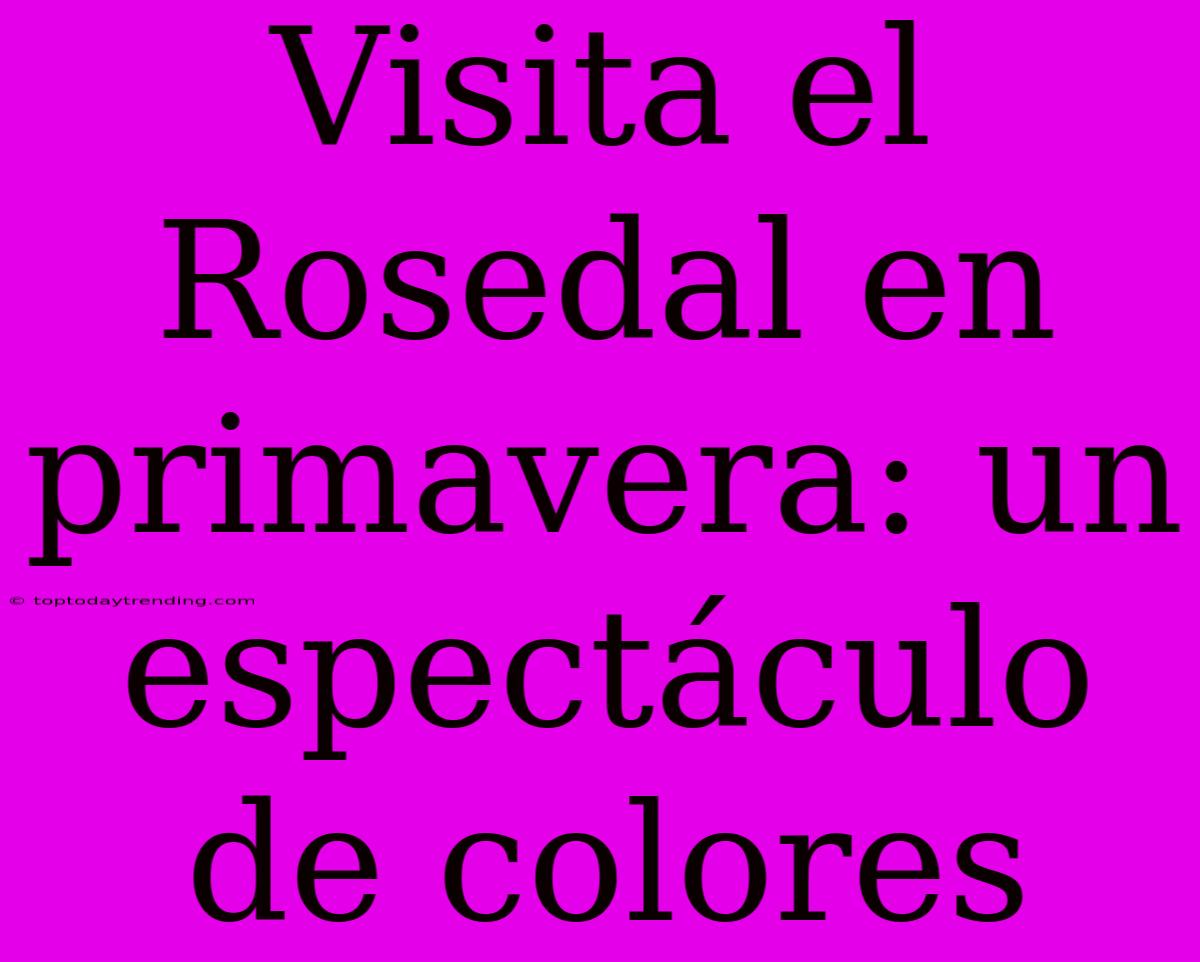 Visita El Rosedal En Primavera: Un Espectáculo De Colores