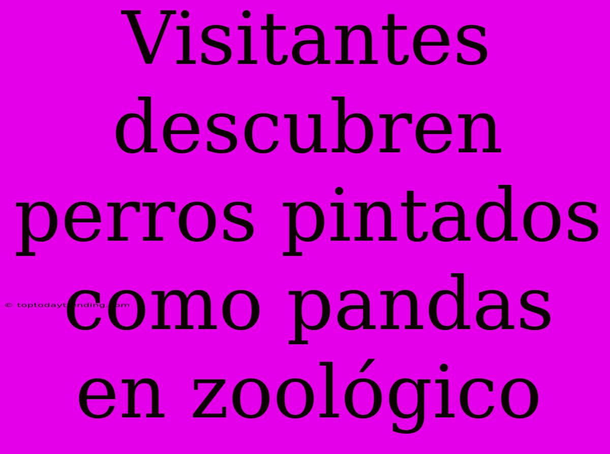 Visitantes Descubren Perros Pintados Como Pandas En Zoológico