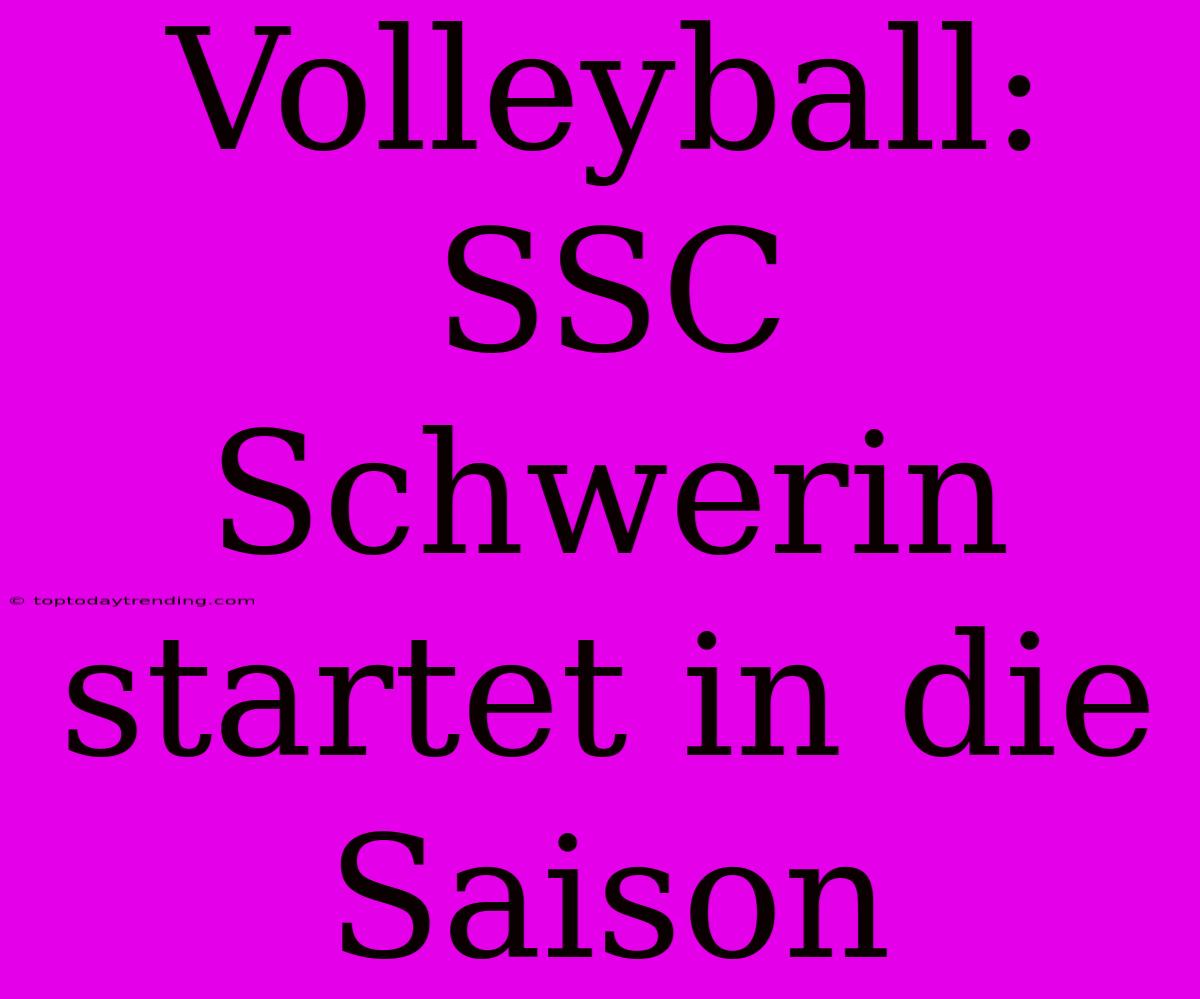 Volleyball: SSC Schwerin Startet In Die Saison