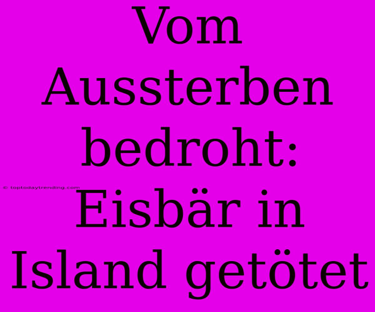 Vom Aussterben Bedroht: Eisbär In Island Getötet