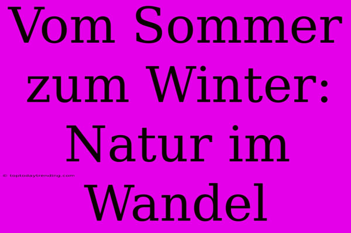 Vom Sommer Zum Winter: Natur Im Wandel