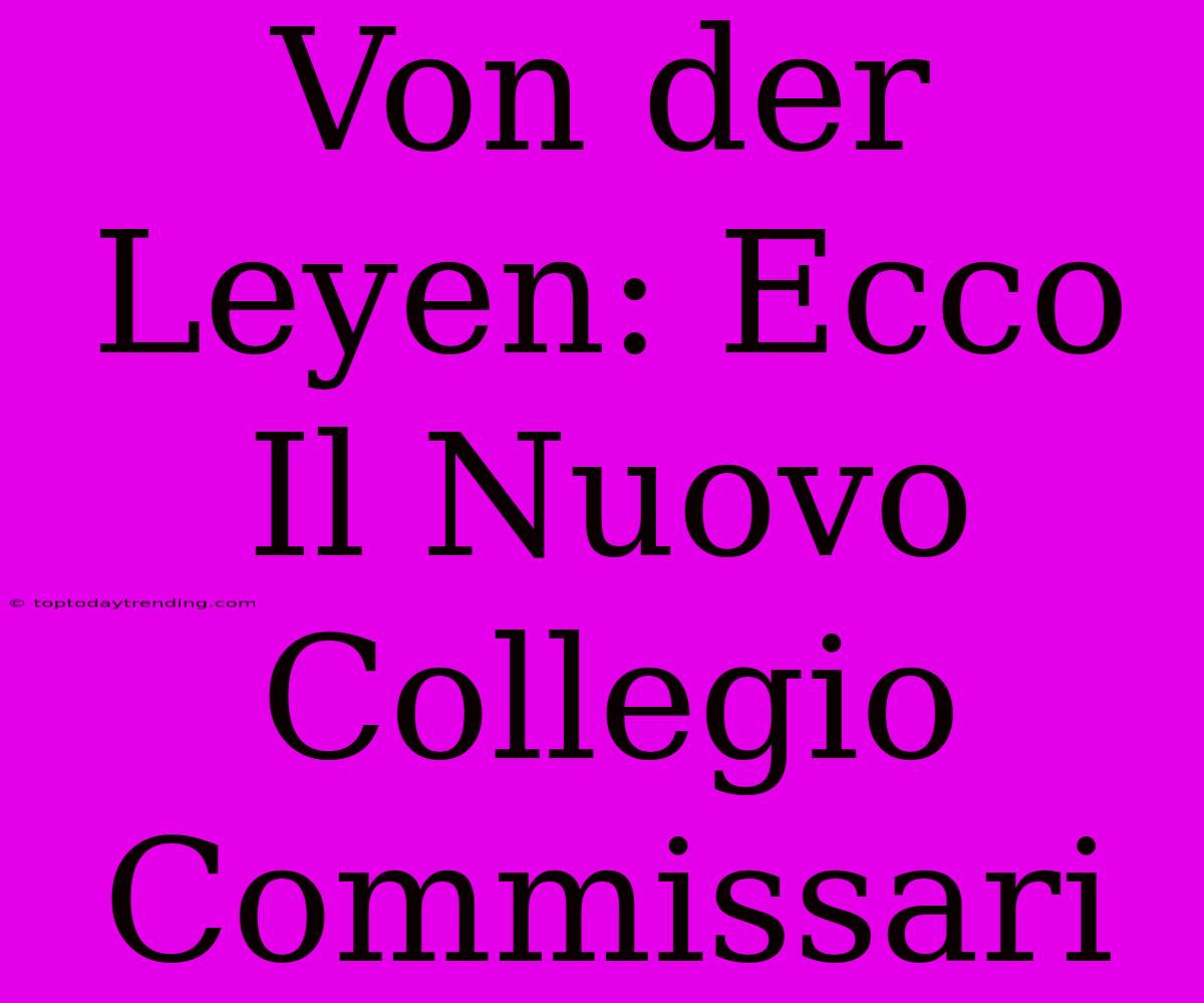 Von Der Leyen: Ecco Il Nuovo Collegio Commissari