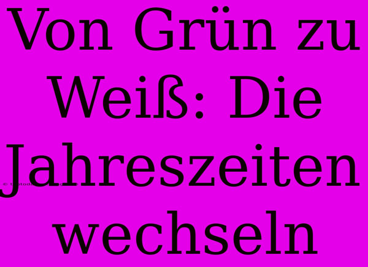 Von Grün Zu Weiß: Die Jahreszeiten Wechseln