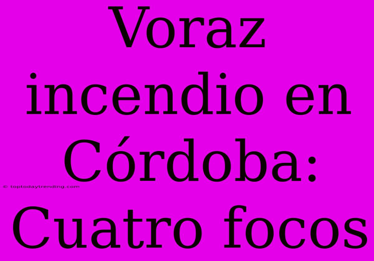 Voraz Incendio En Córdoba: Cuatro Focos