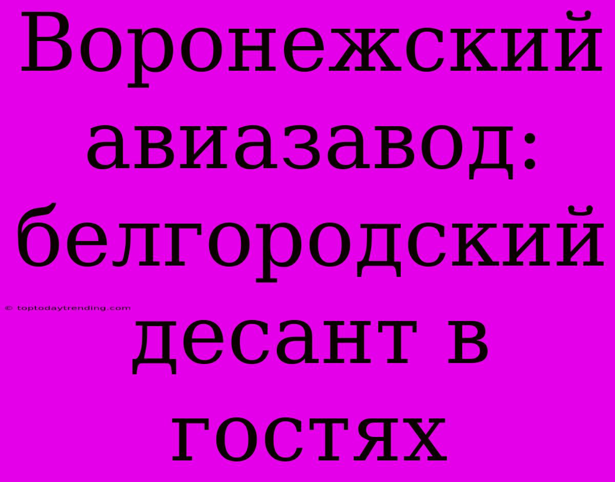 Воронежский Авиазавод: Белгородский Десант В Гостях