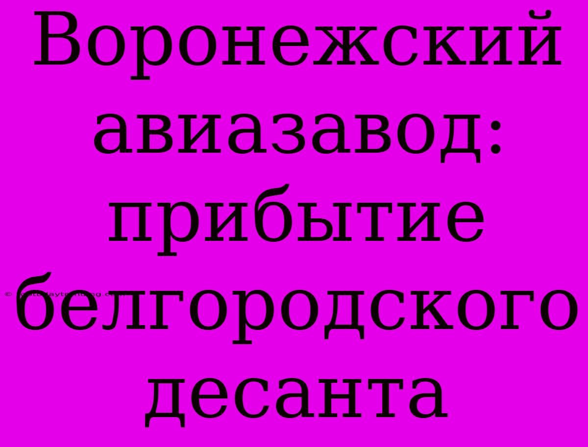 Воронежский Авиазавод: Прибытие Белгородского Десанта