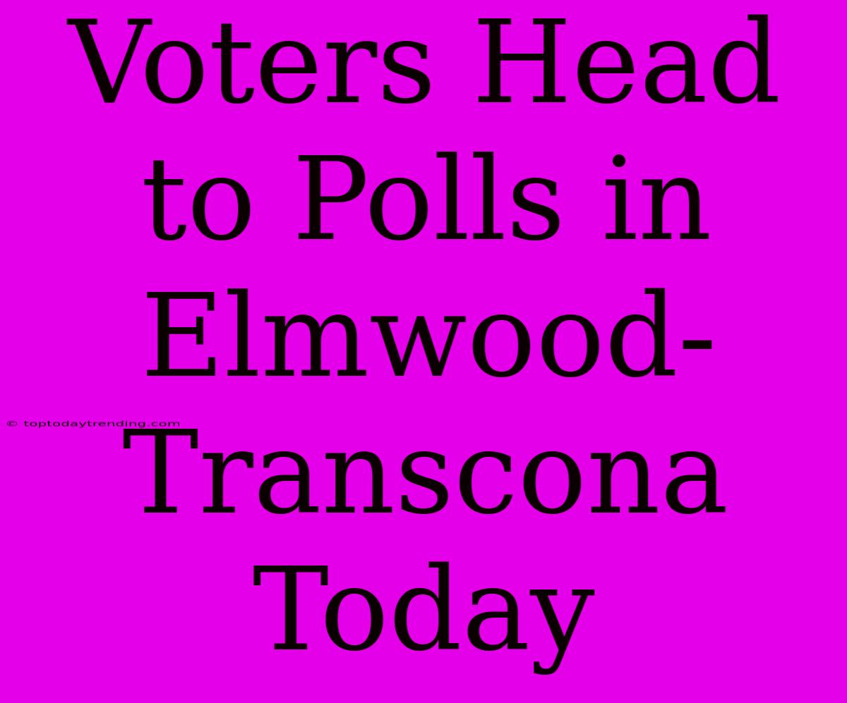 Voters Head To Polls In Elmwood-Transcona Today