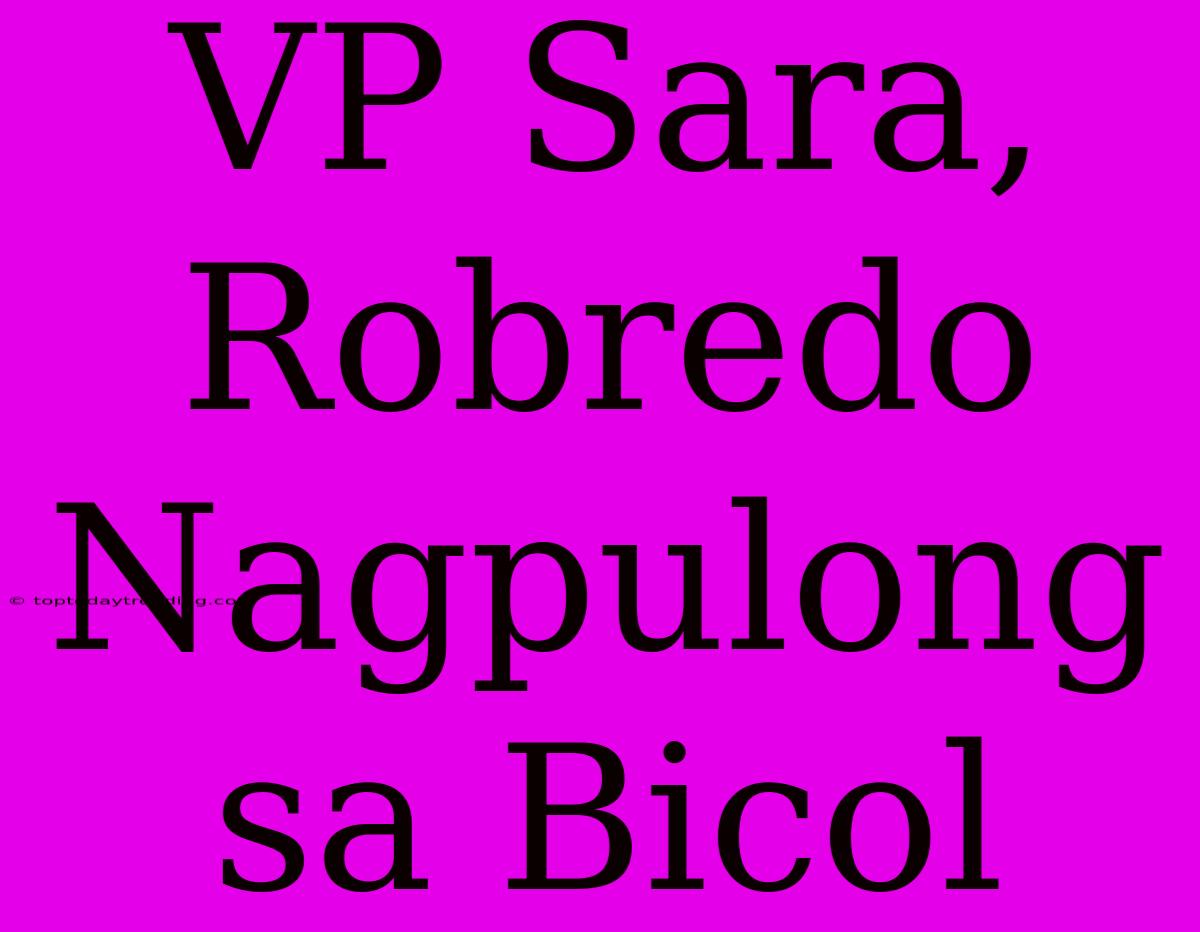 VP Sara, Robredo Nagpulong Sa Bicol