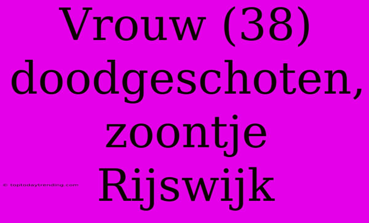 Vrouw (38) Doodgeschoten, Zoontje Rijswijk