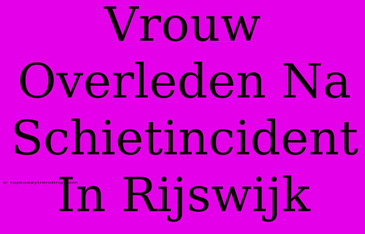 Vrouw Overleden Na Schietincident In Rijswijk