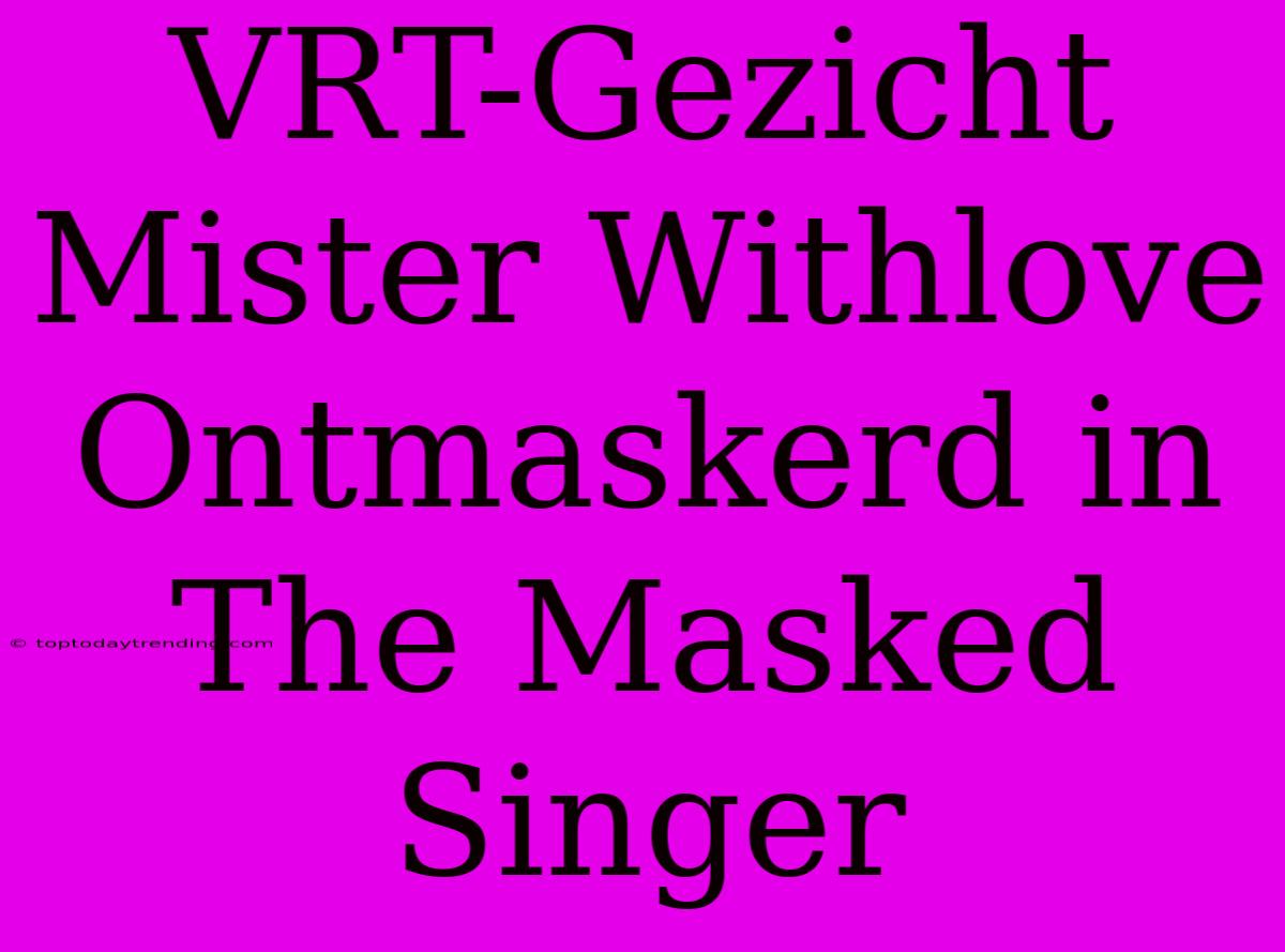 VRT-Gezicht Mister Withlove Ontmaskerd In The Masked Singer