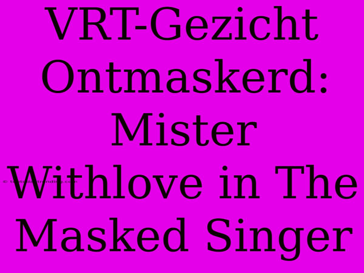 VRT-Gezicht Ontmaskerd: Mister Withlove In The Masked Singer