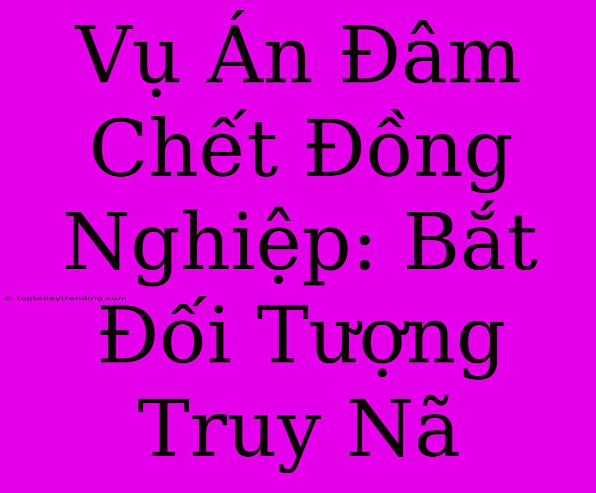 Vụ Án Đâm Chết Đồng Nghiệp: Bắt Đối Tượng Truy Nã