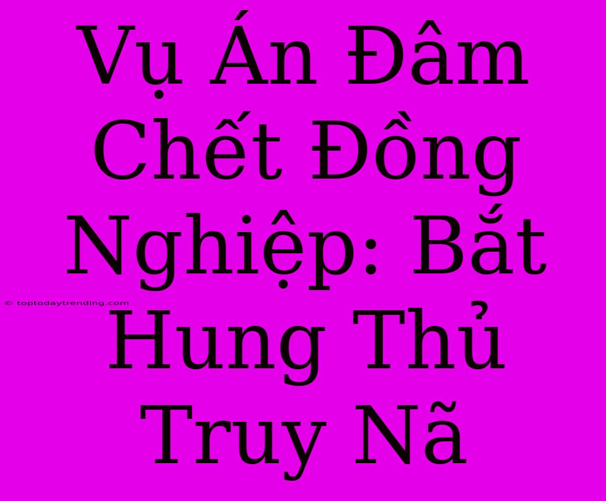 Vụ Án Đâm Chết Đồng Nghiệp: Bắt Hung Thủ Truy Nã