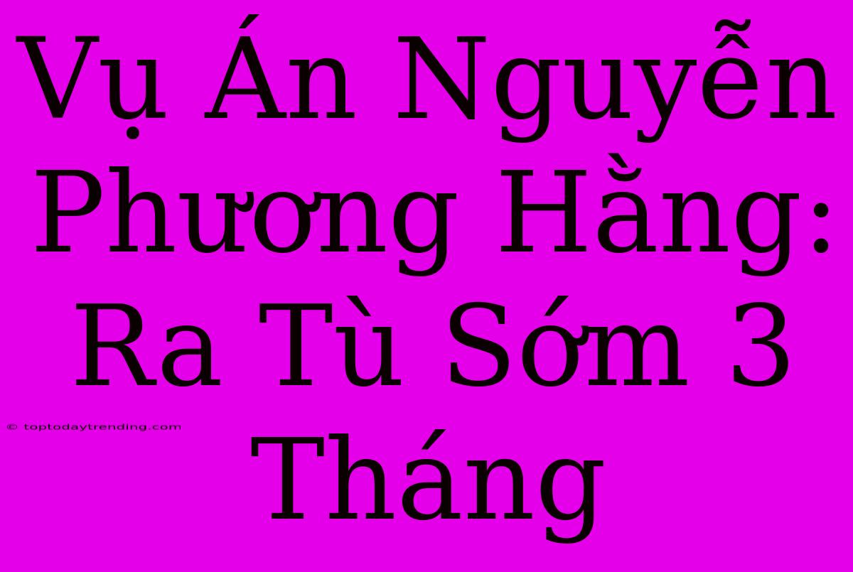 Vụ Án Nguyễn Phương Hằng: Ra Tù Sớm 3 Tháng