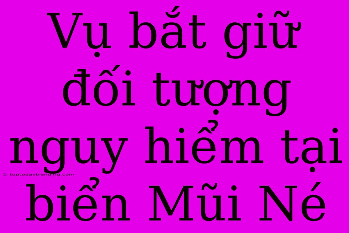 Vụ Bắt Giữ Đối Tượng Nguy Hiểm Tại Biển Mũi Né