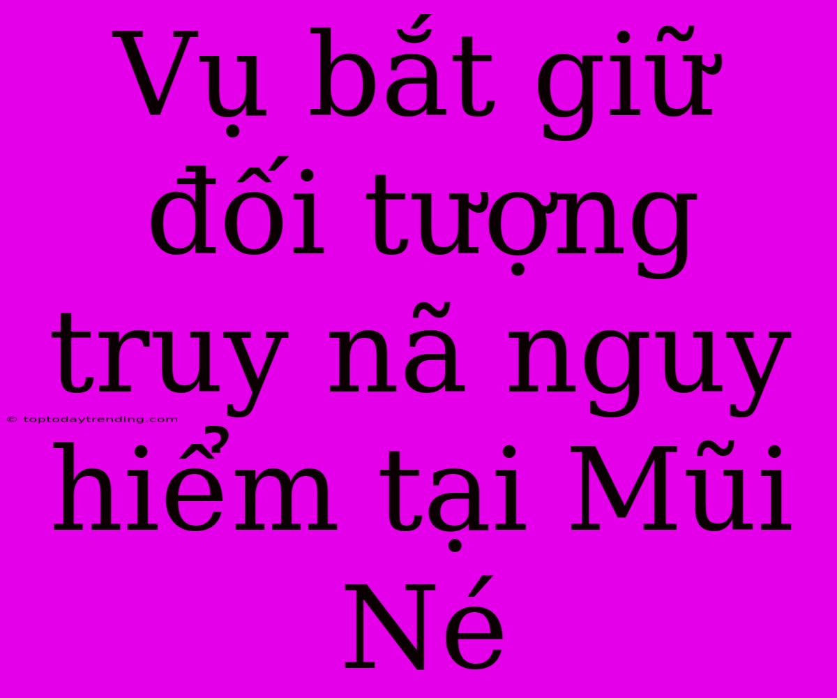 Vụ Bắt Giữ Đối Tượng Truy Nã Nguy Hiểm Tại Mũi Né