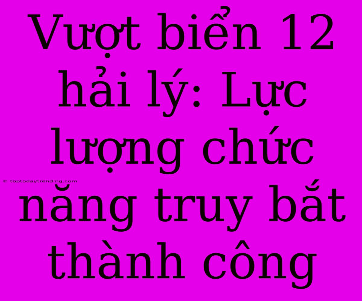 Vượt Biển 12 Hải Lý: Lực Lượng Chức Năng Truy Bắt Thành Công