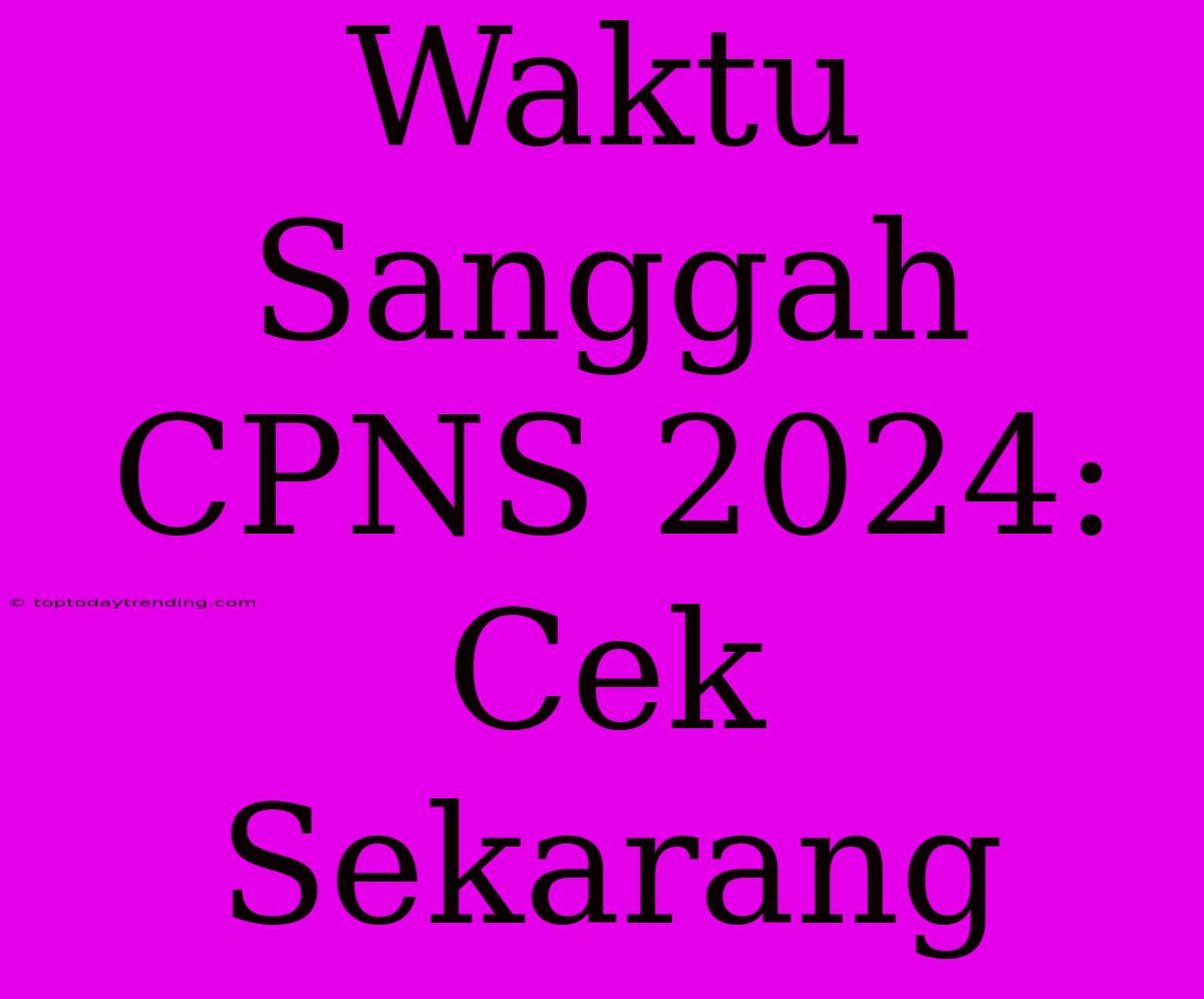 Waktu Sanggah CPNS 2024: Cek Sekarang