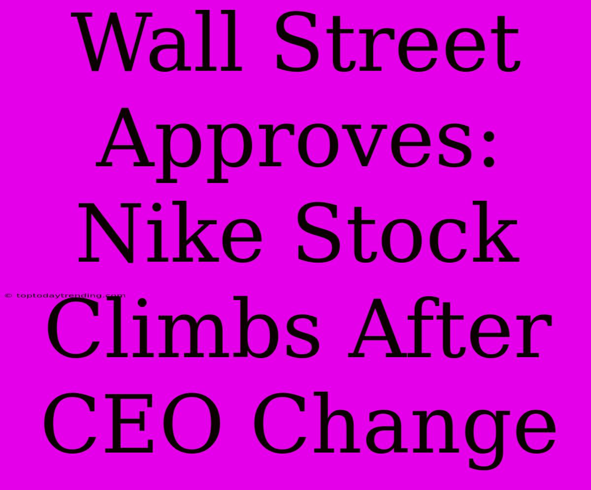 Wall Street Approves: Nike Stock Climbs After CEO Change