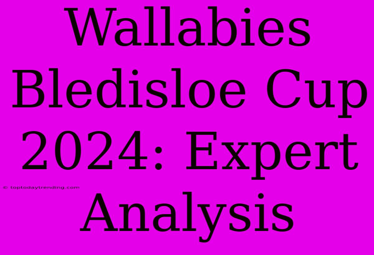 Wallabies Bledisloe Cup 2024: Expert Analysis