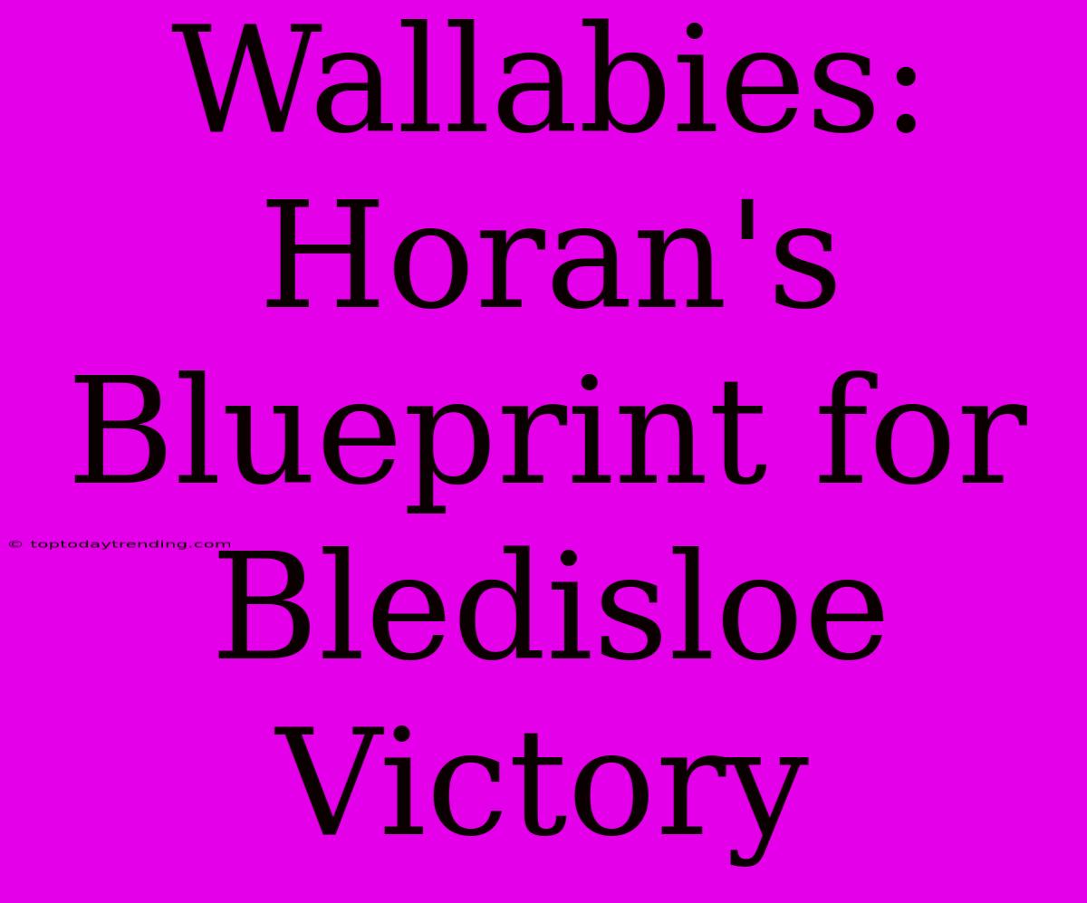 Wallabies: Horan's Blueprint For Bledisloe Victory