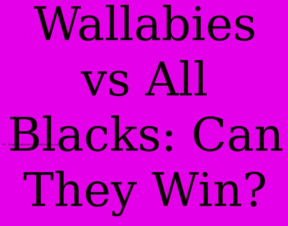 Wallabies Vs All Blacks: Can They Win?