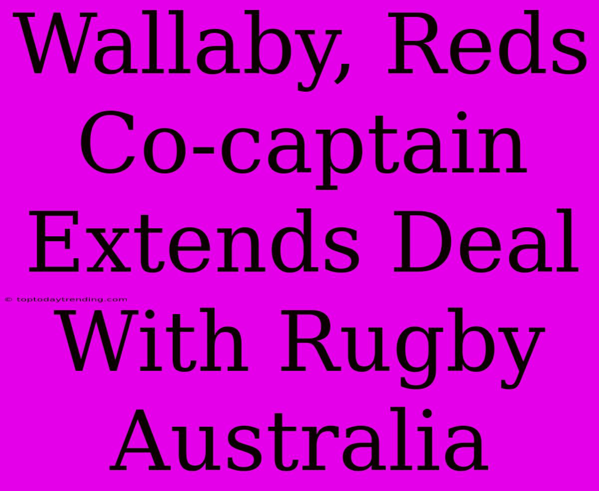 Wallaby, Reds Co-captain Extends Deal With Rugby Australia