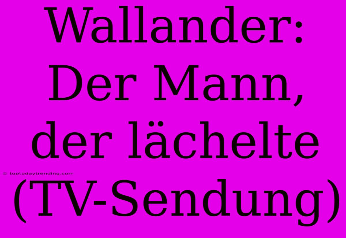 Wallander: Der Mann, Der Lächelte (TV-Sendung)