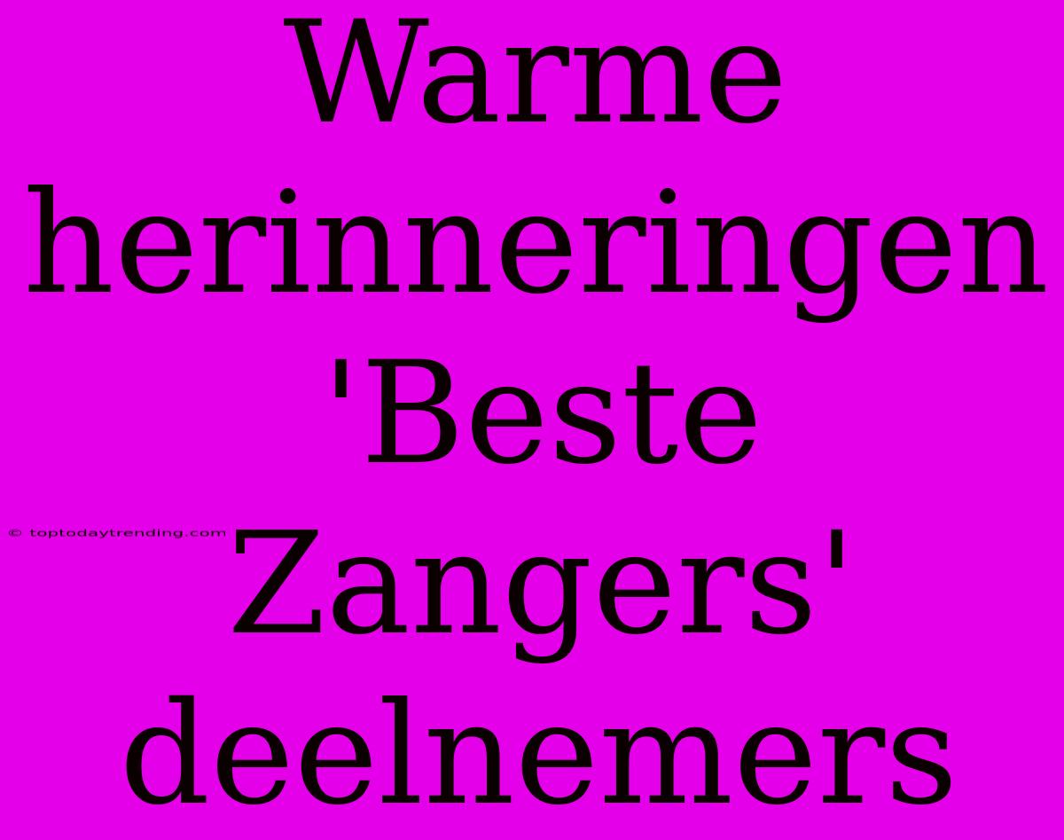 Warme Herinneringen 'Beste Zangers' Deelnemers