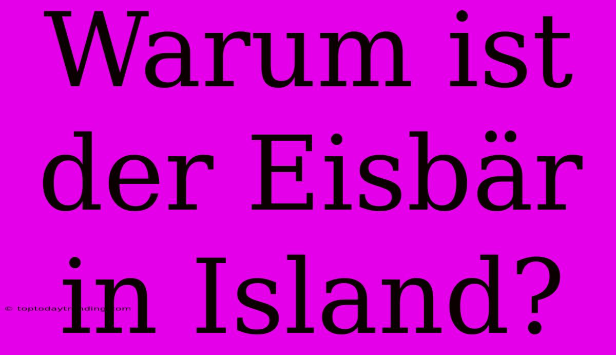 Warum Ist Der Eisbär In Island?