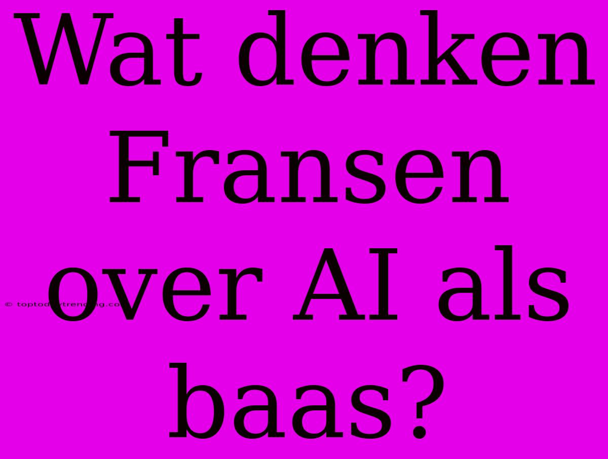 Wat Denken Fransen Over AI Als Baas?