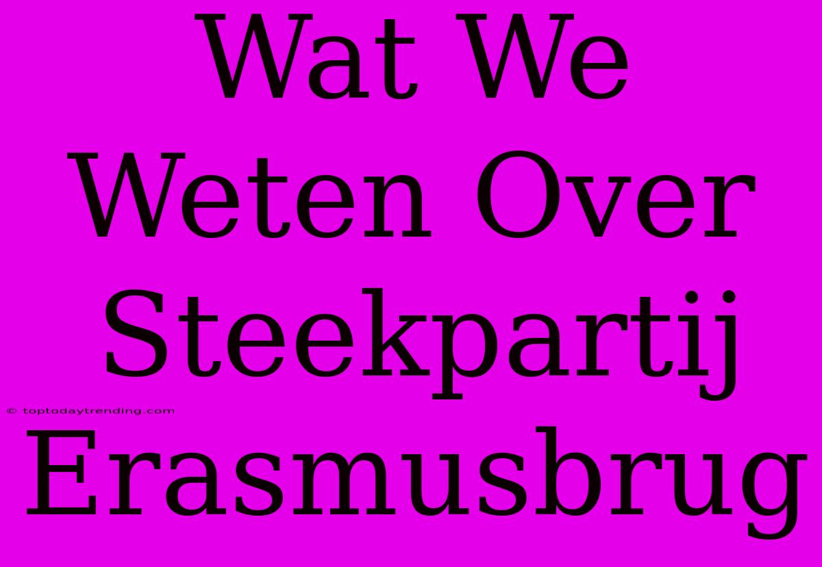 Wat We Weten Over Steekpartij Erasmusbrug