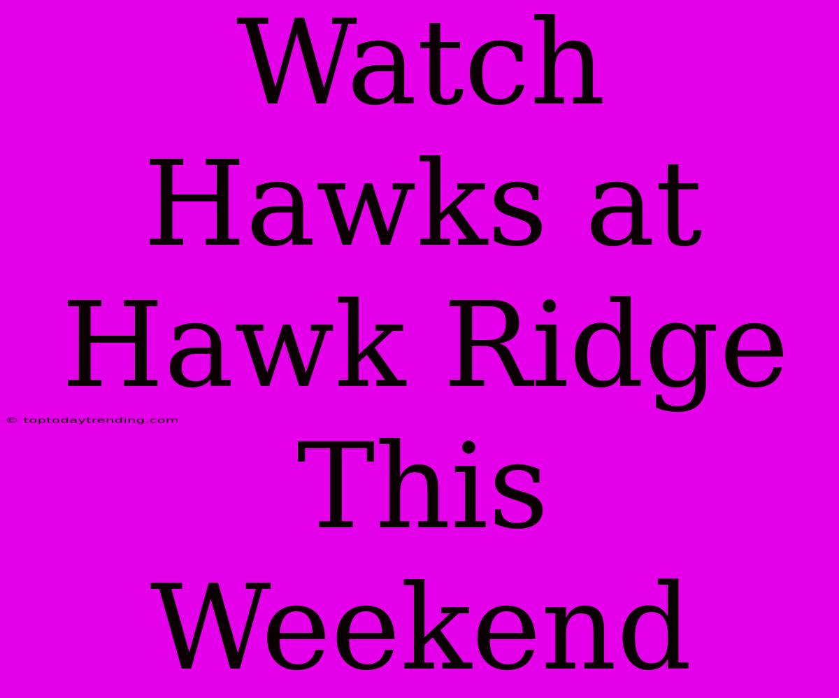 Watch Hawks At Hawk Ridge This Weekend