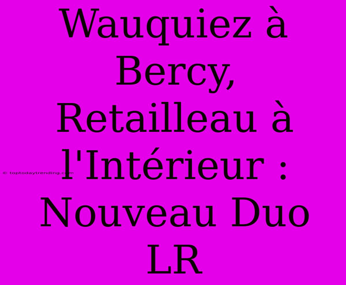 Wauquiez À Bercy, Retailleau À L'Intérieur : Nouveau Duo LR