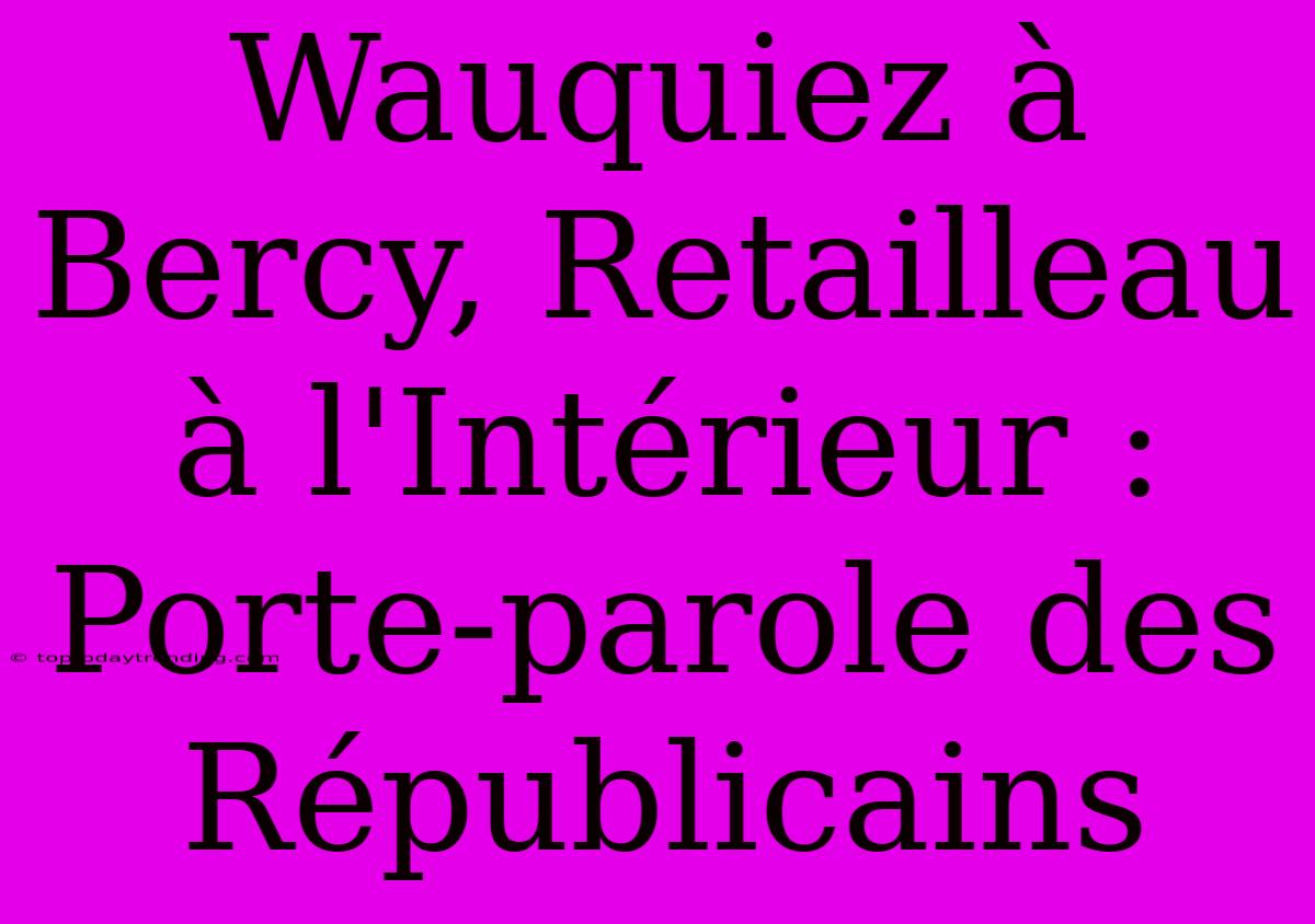 Wauquiez À Bercy, Retailleau À L'Intérieur : Porte-parole Des Républicains