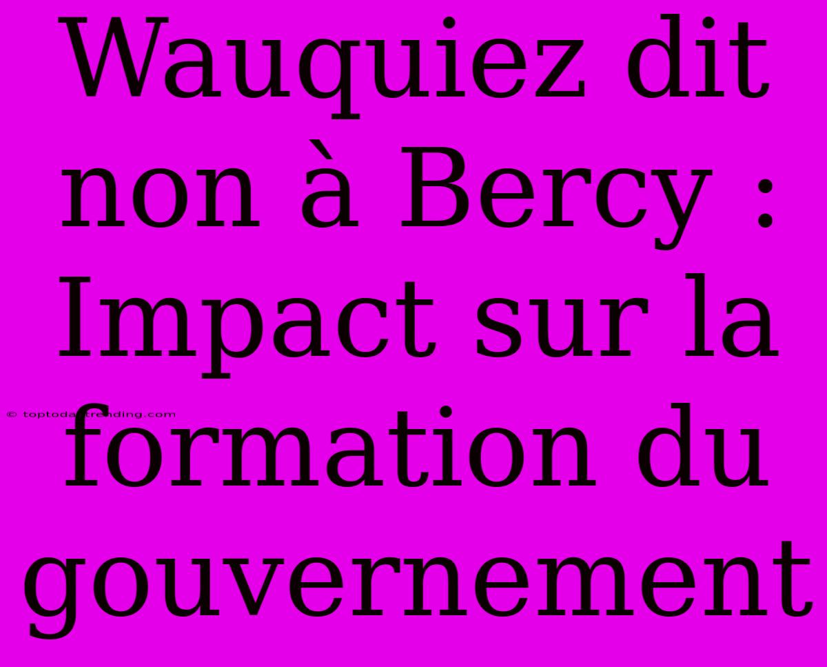 Wauquiez Dit Non À Bercy : Impact Sur La Formation Du Gouvernement