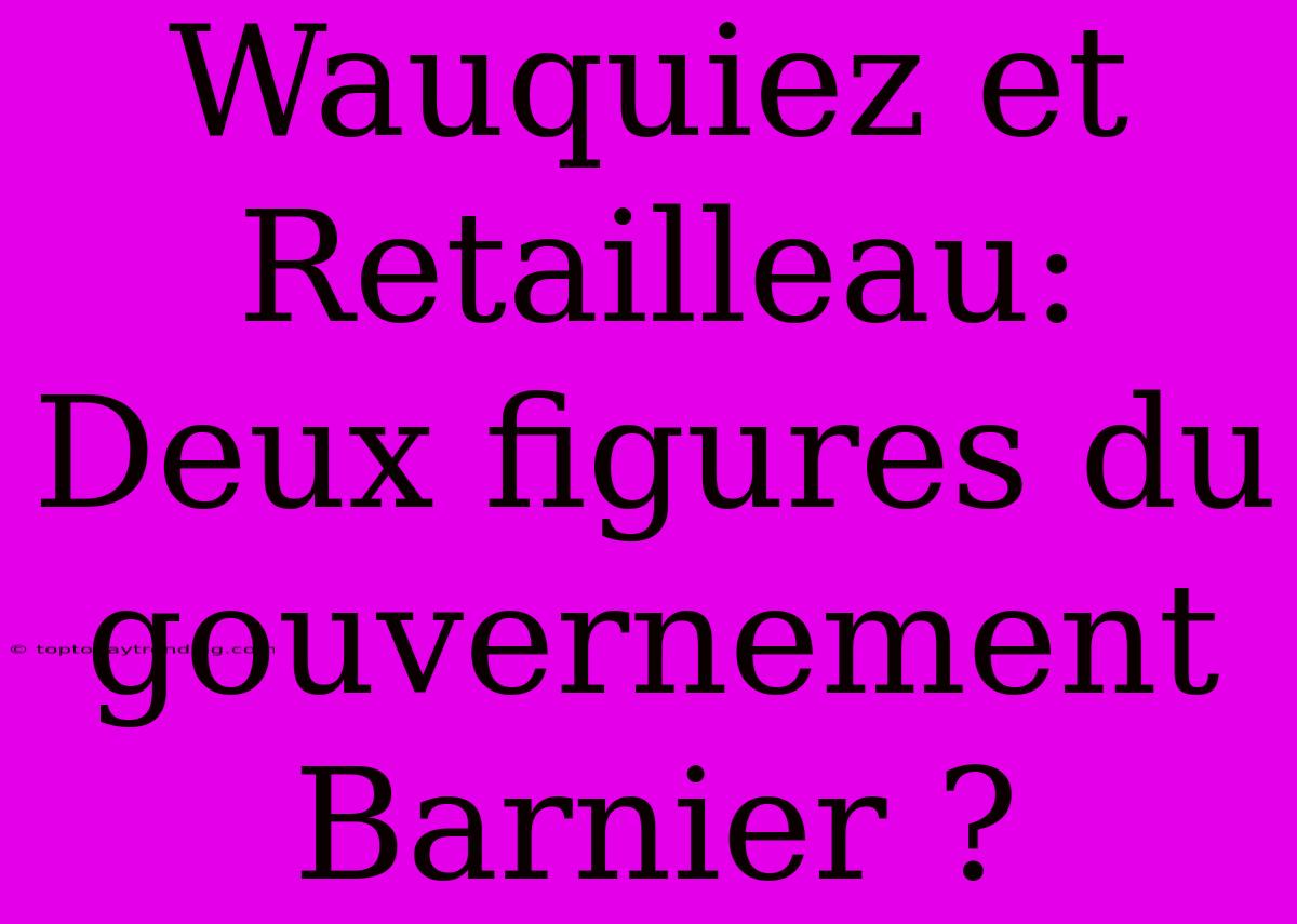 Wauquiez Et Retailleau: Deux Figures Du Gouvernement Barnier ?