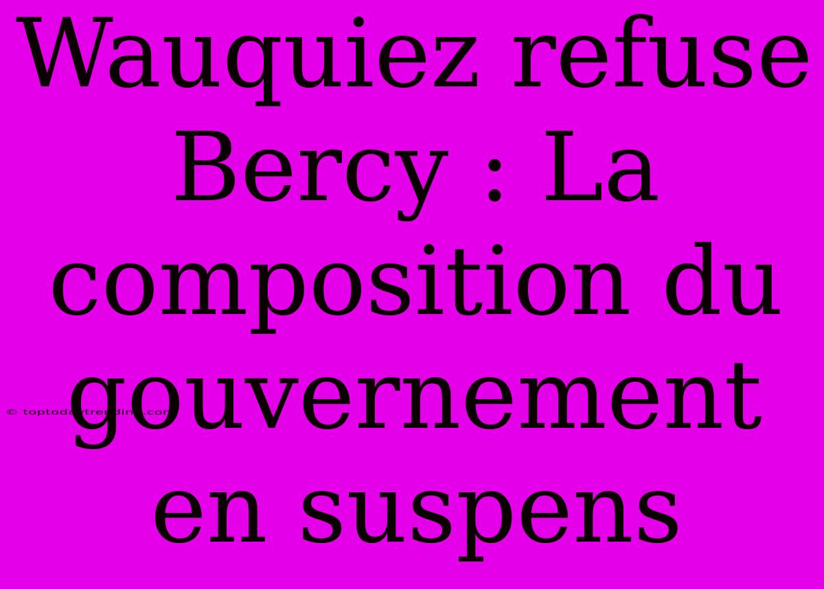 Wauquiez Refuse Bercy : La Composition Du Gouvernement En Suspens