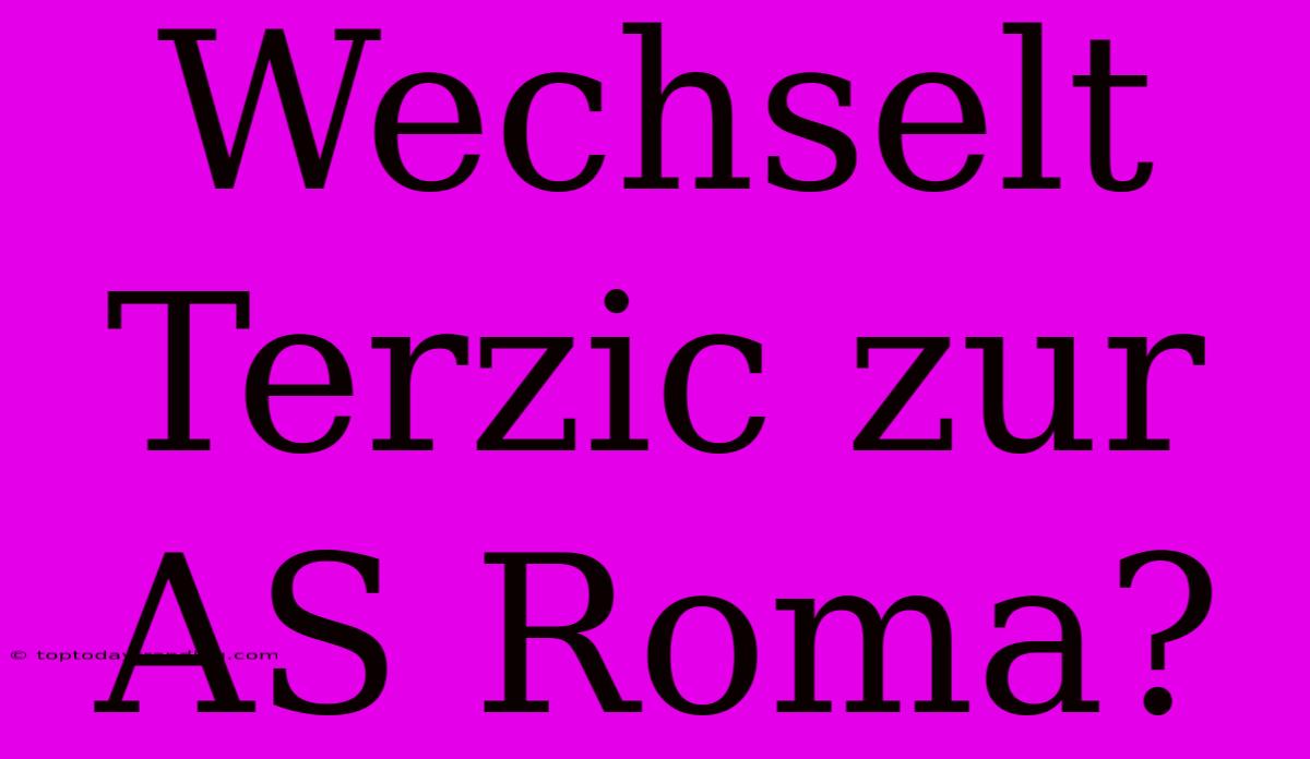 Wechselt Terzic Zur AS Roma?