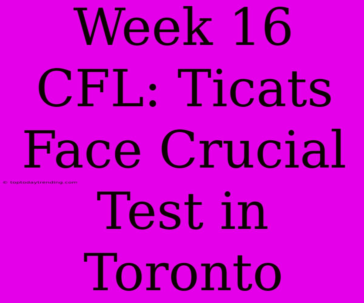 Week 16 CFL: Ticats Face Crucial Test In Toronto