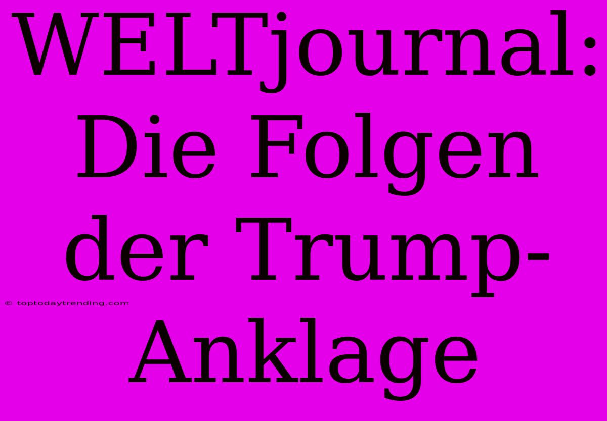 WELTjournal: Die Folgen Der Trump-Anklage