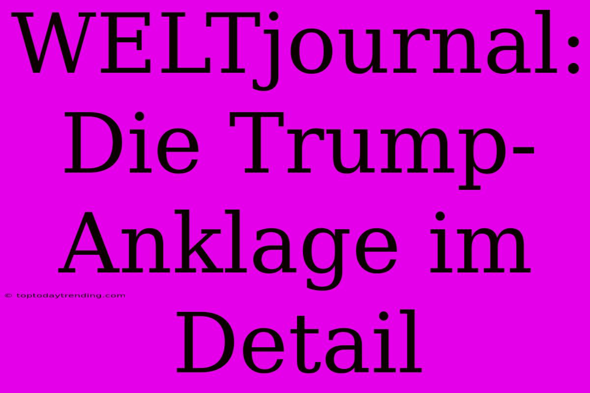 WELTjournal: Die Trump-Anklage Im Detail