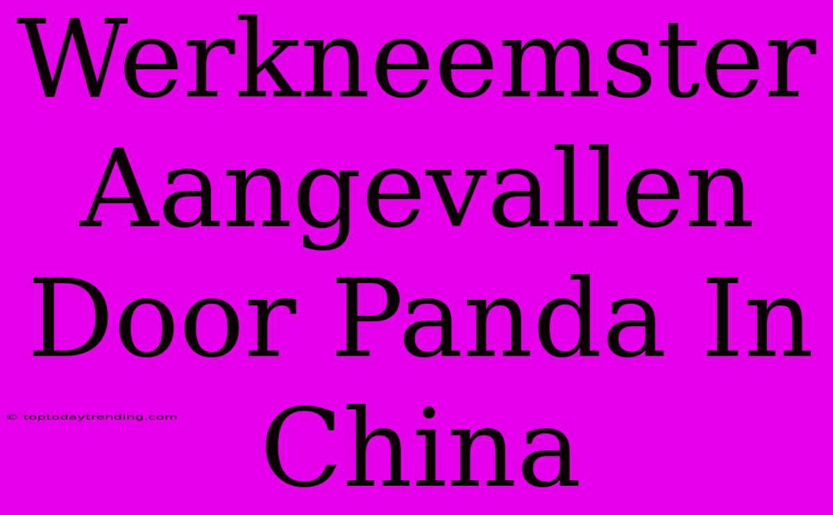 Werkneemster Aangevallen Door Panda In China