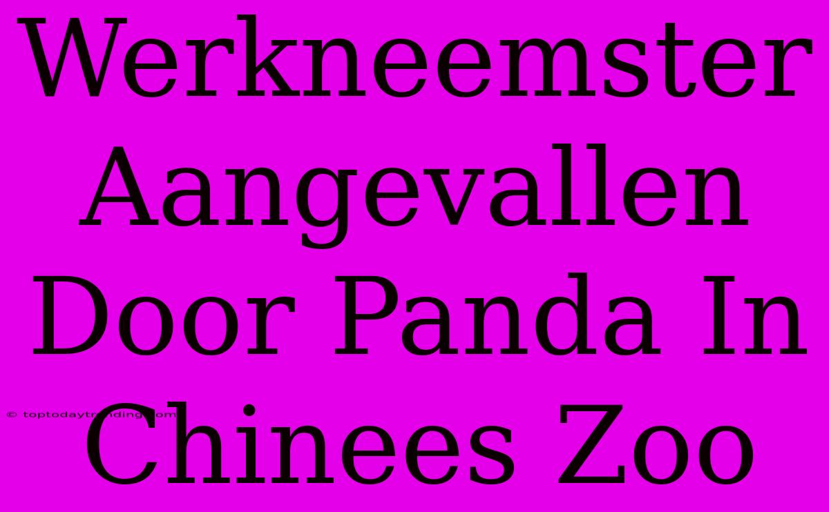 Werkneemster Aangevallen Door Panda In Chinees Zoo