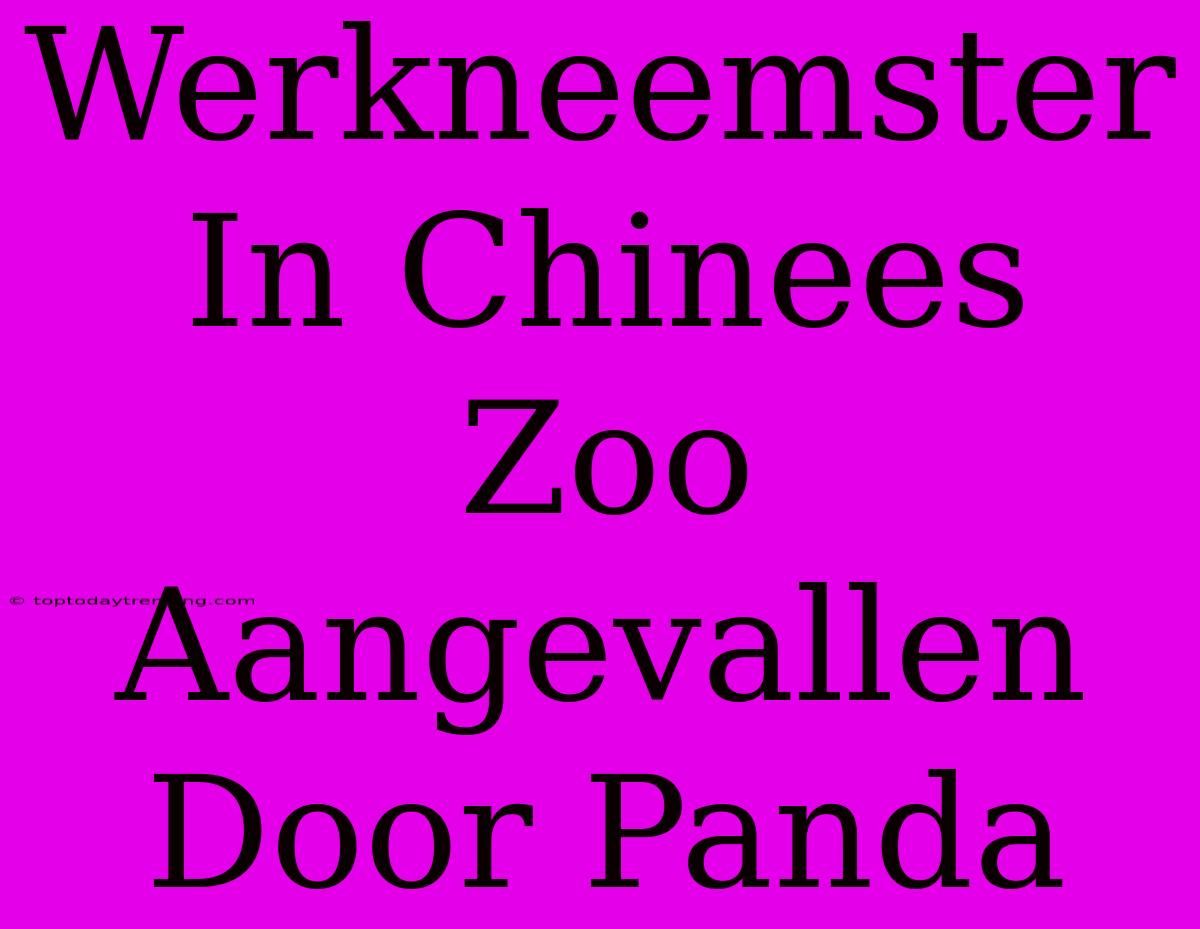 Werkneemster In Chinees Zoo Aangevallen Door Panda