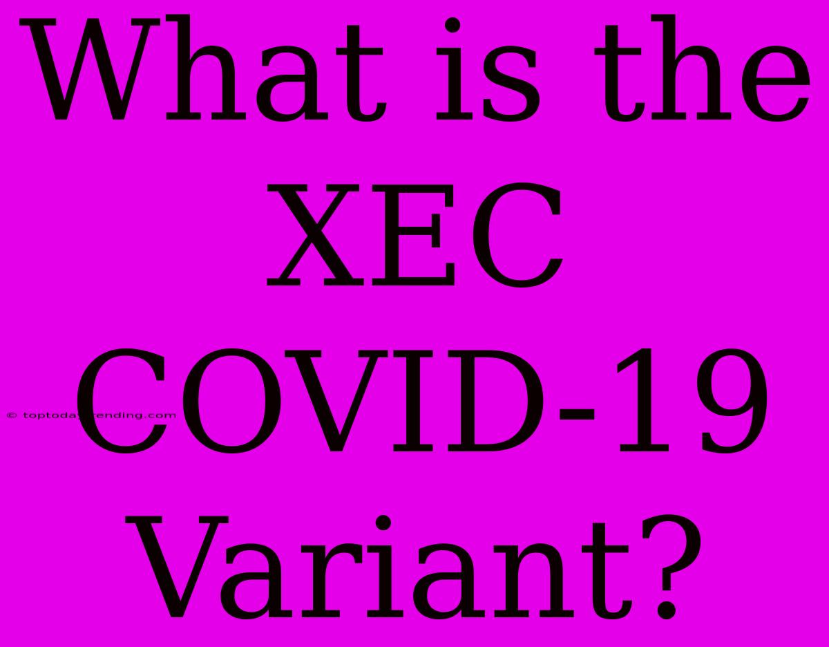 What Is The XEC COVID-19 Variant?