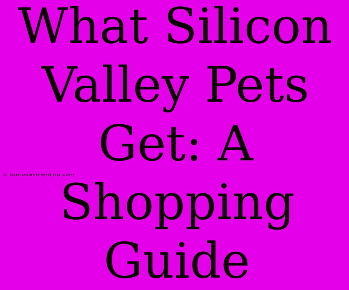 What Silicon Valley Pets Get: A Shopping Guide