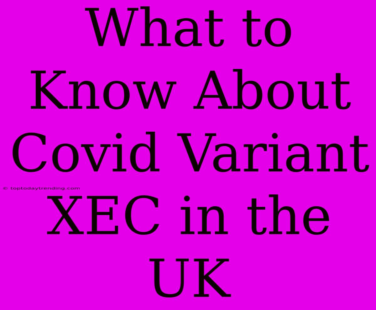 What To Know About Covid Variant XEC In The UK